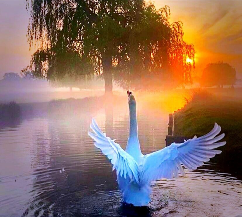 Красота души